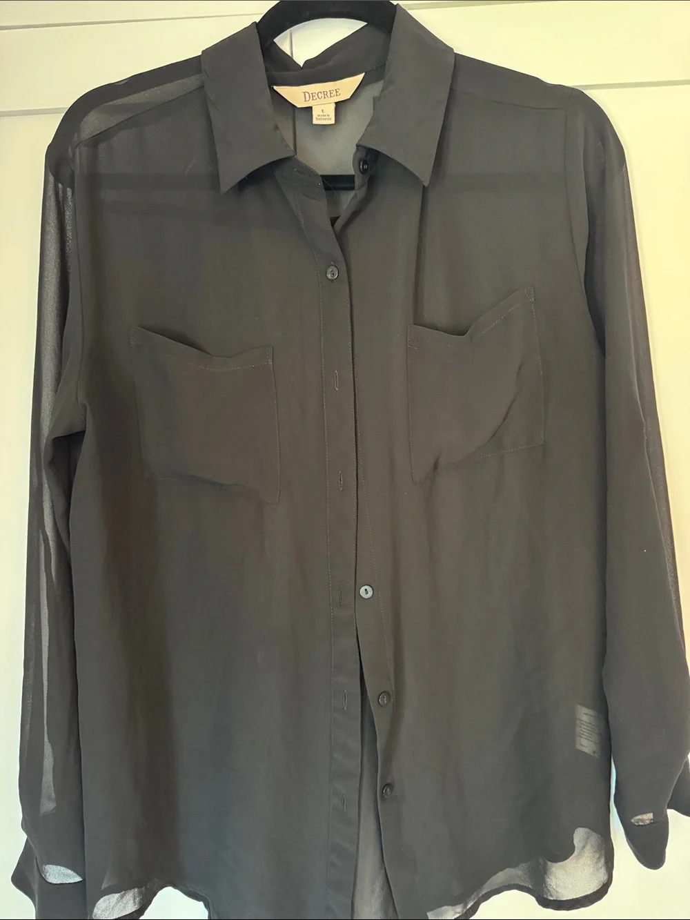 Decree Black Sheer Long-Sleeve Button-Up Shirt